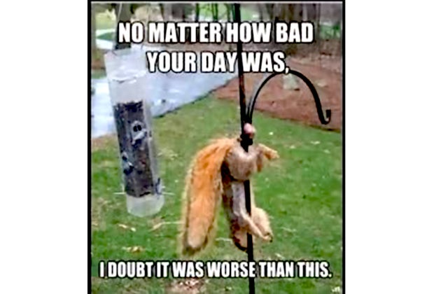 lousy day to be a squirrel meme