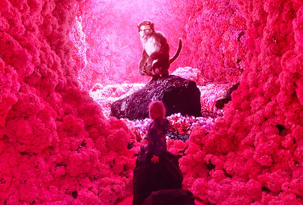 Mixing It up at Mercer Labs