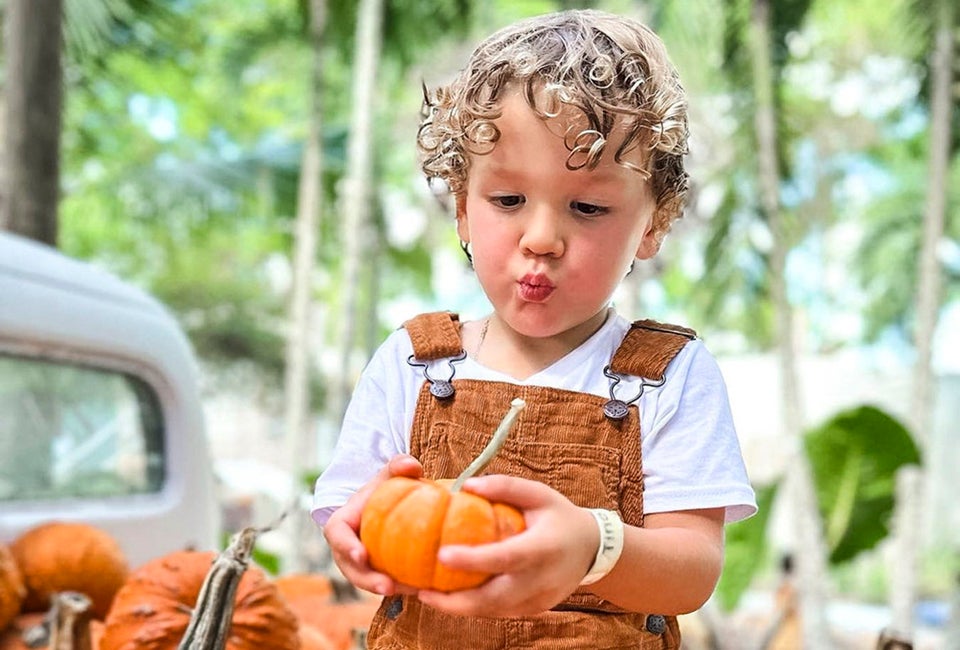 Pumpkins come in all sizes at Tinez Farms. Photo courtesy of Tinez Farms