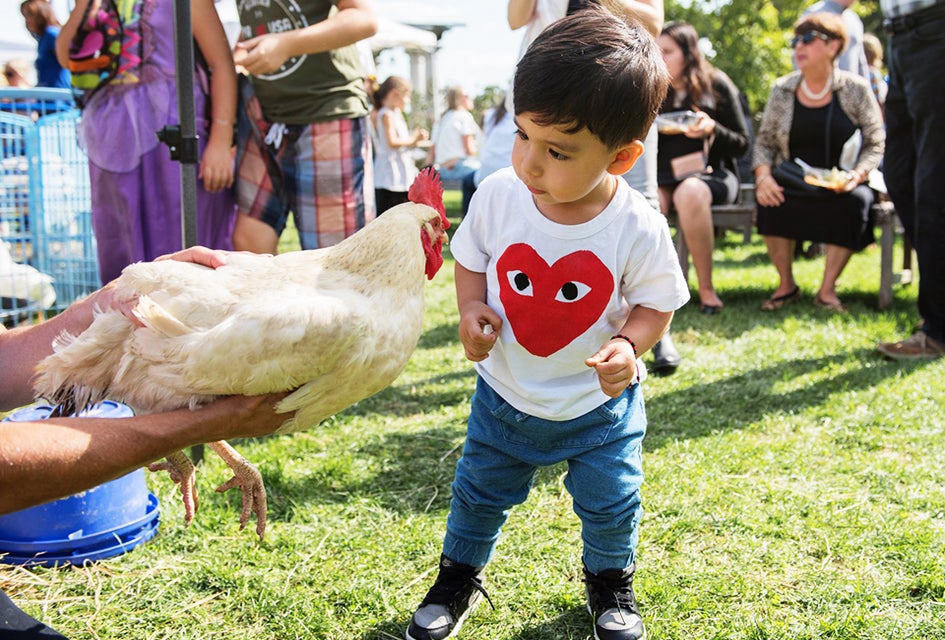 Greenwood Gardens hosts many family-friendly events throughout the year. Photo courtesy of Greenwood Gardens