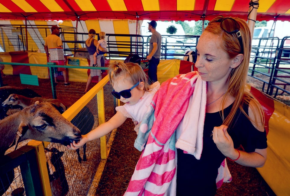 Photo Courtesy of the Guilford Fair 