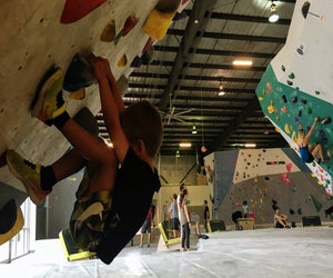 Kids can climb at Momentum Indoor Climbing