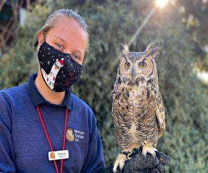 See what this wise guy is up to this spring. Photo courtesy of Moorpark College Teaching Zoo