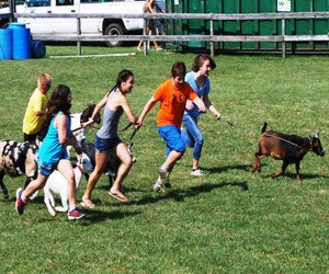 See friendly farm animals and more at the Morris County 4-H Fair. Photo courtesy of  Morris County 4-H 