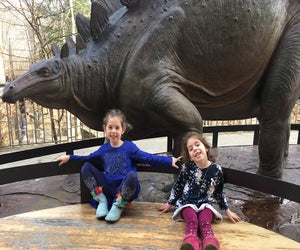 Our family's favorite dinosaur (at the Fernbank and in general) is the Stegosaurus, pictured here in bronze form outside the museum. 
