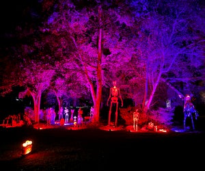 East Cobb's Chimney Springs is THE ultimate neighborhood to trick-or-treat on Halloween. Photo by Melanie Preis