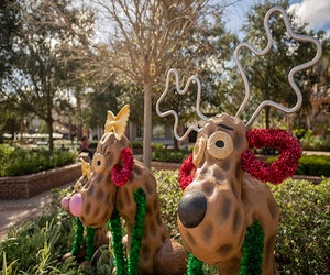November starts the holiday season with lots of fun Orlando events. Photo courtesy Walt Disney World News
