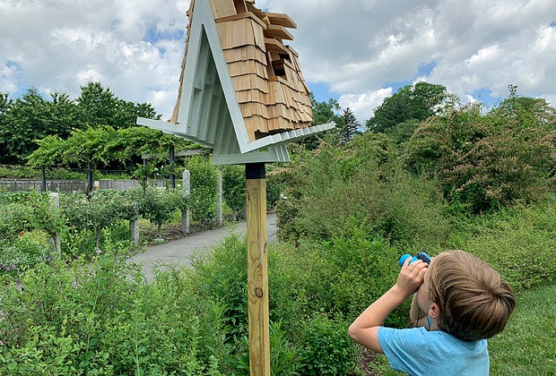 Museum exhibits in NYC For the Birds