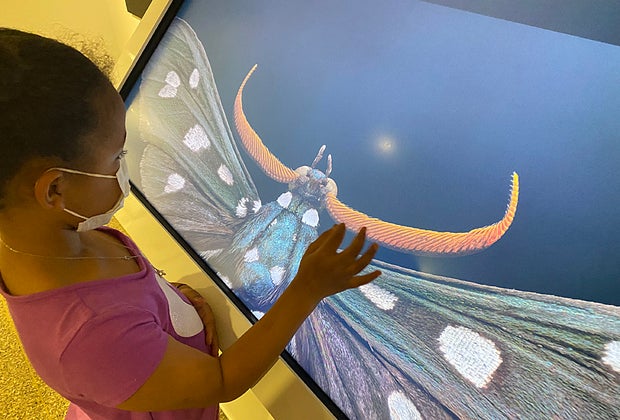 Museum exhibits in NYC Extinct and Endangered