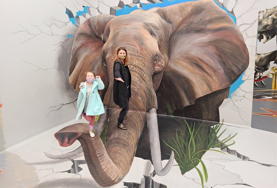 Go surfing on the trunk of an elephant at the Museum of Illusions.