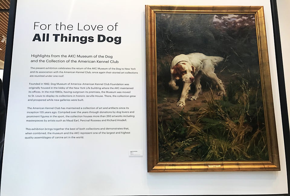 Dog lovers now have a museum to celebrate their love of dogs, Museum of the Dog. 