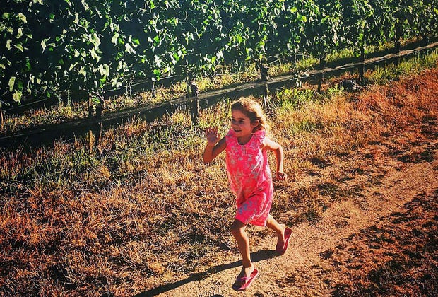 Kid-Friendly Wineries in Napa, Sonoma, and the San Francisco Bay Area: Belden Barns Farmstead & Winery 