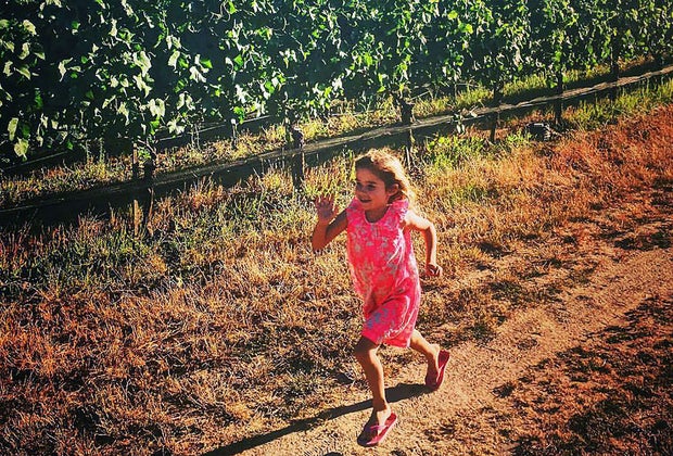 Kid-Friendly Wineries in Napa, Sonoma, and the San Francisco Bay Area: Belden Barns Farmstead & Winery