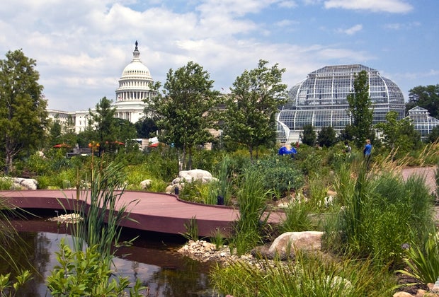 Free Things To Do Near DC this Summer with Kids: United States Botanic Garden