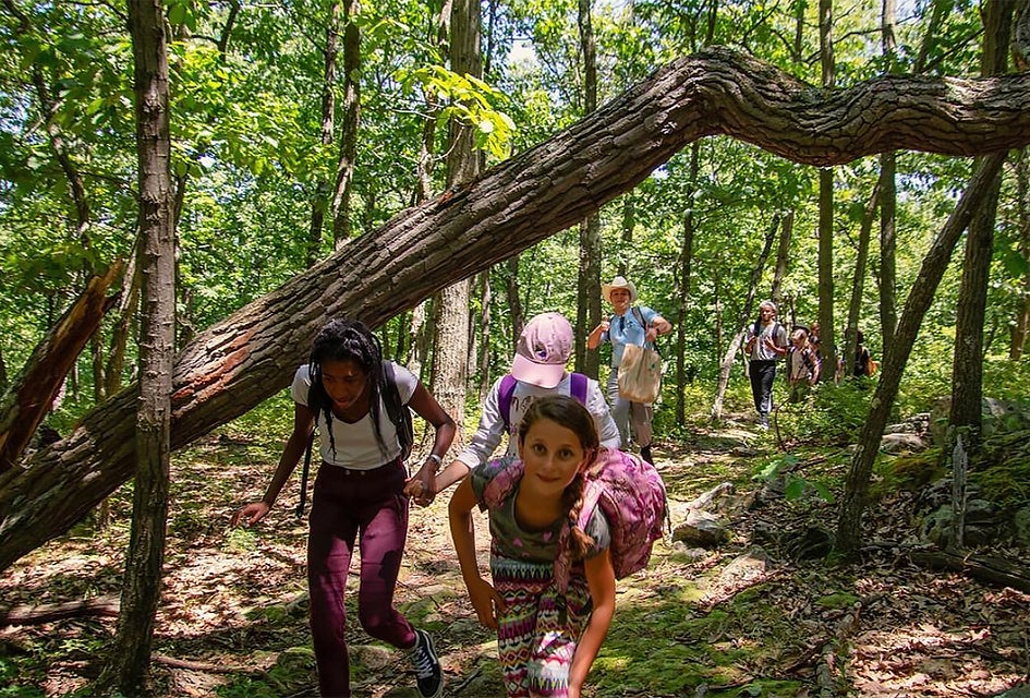 The Nature Place Day Camp is one of several that still have openings for summer 2019! Photo courtesy of the camp