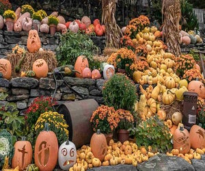 Get out to see the incredible Naumkeag Pumpkin Show this fall! Photo courtesy of the Trustees