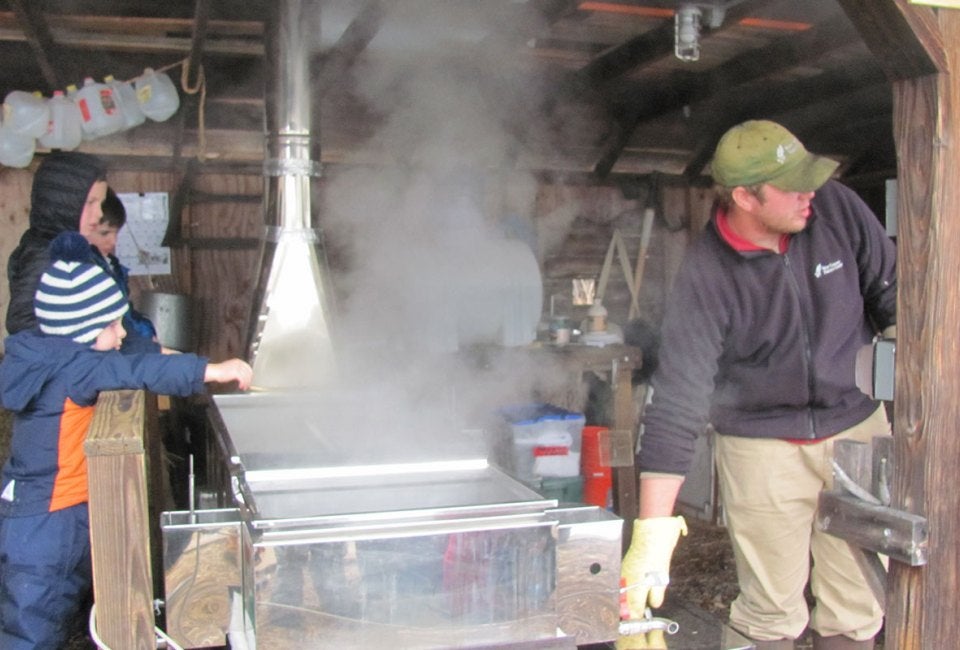 Photo courtesy of the New Canaan Nature Center