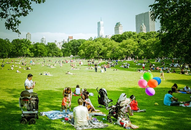 Picnic in Central Park: The Great Lawn