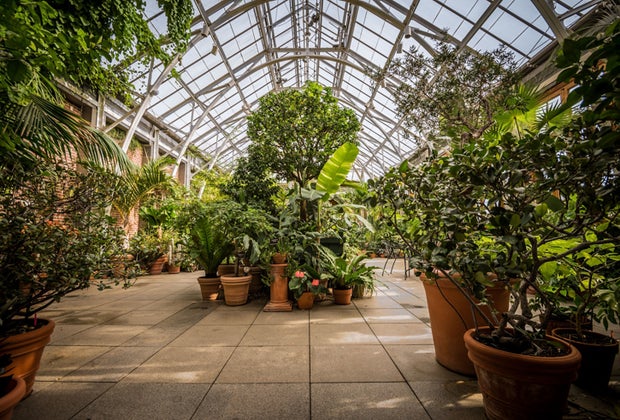 Image of Tower Hill Botanic Garden - Winter Day Trips from Boston