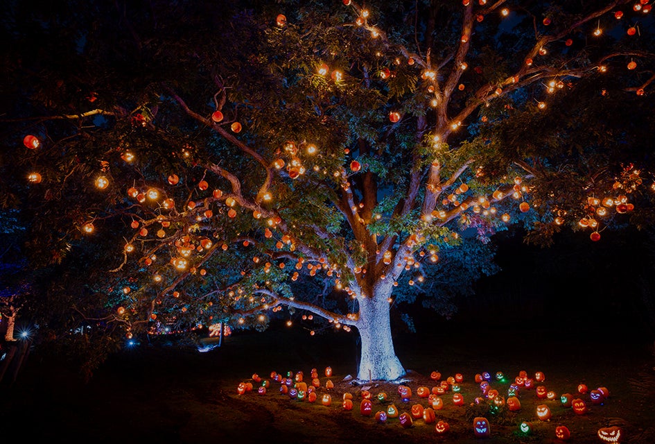 The Jack-o’-Lantern Experience at Skylands Stadium features more than 6,000 hand-carved pumpkins. Photo courtesy of Skylands Stadium