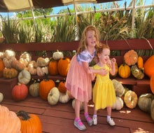 Enjoy apple and pumpkin picking all month long at Johnson's Corner Farm in Medford. Photo by Lisa Warden