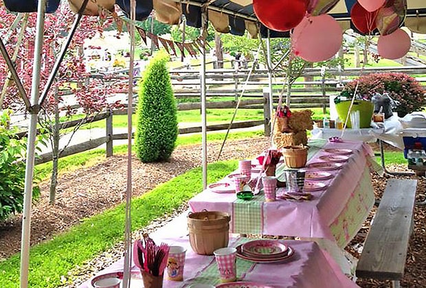 New Jersey Farms Where You Can Throw a Barnyard Birthday Party: Alstede Farms