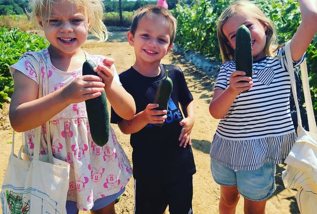 New Jersey Farms Where You Can Throw a Barnyard Birthday Party: Ort Farms