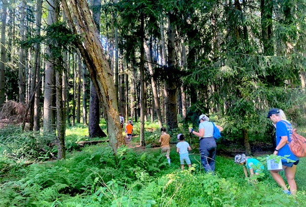 Birthday Party Places for Preschoolers : Rancocas Nature Center