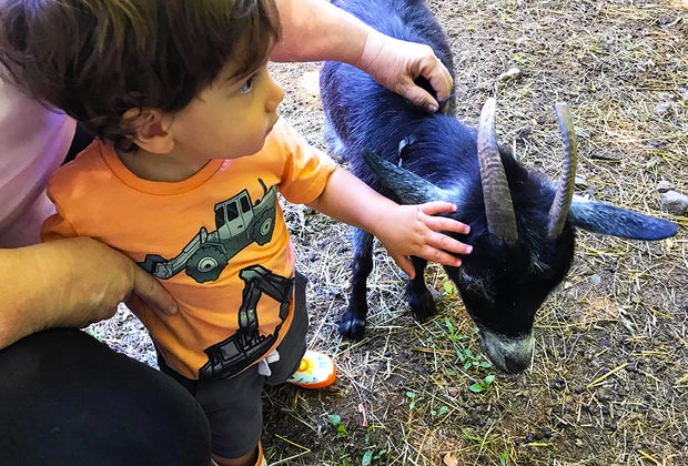 100 things to do in New Jersey witk kids:: Brookhollow's Barnyard