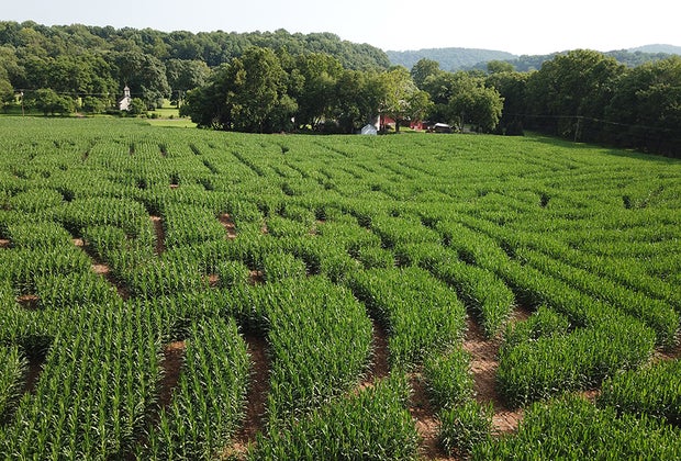 NJ Fall Bucket List The Great Pumpkin Train