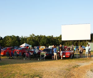 Catch an al-fresco flick at Delsea this summer. Photo courtesy of the theater