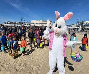 More than 3,500 eggs are hidden in the sand in Belmar. Photo courtesy of Belmar