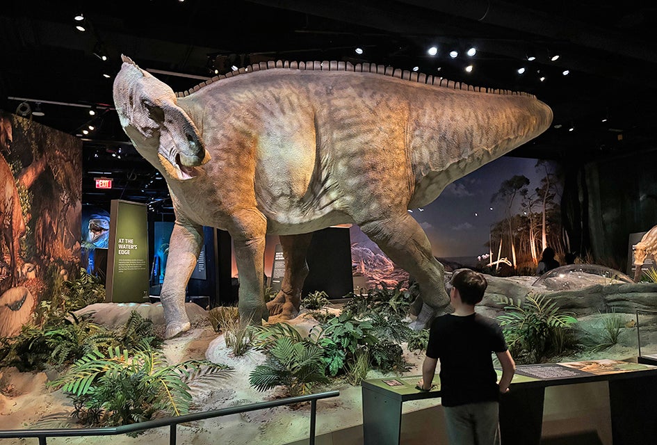 Edelman Fossil Park has life-size replicas of some of your favorite dinosaurs and sea creatures.