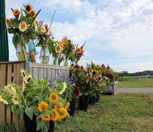 Beautiful blooms are just the start of the fun at Holland Ridge Farms Fall Flower Festival. Photo by Patrick Marini/courtesy of the farm 