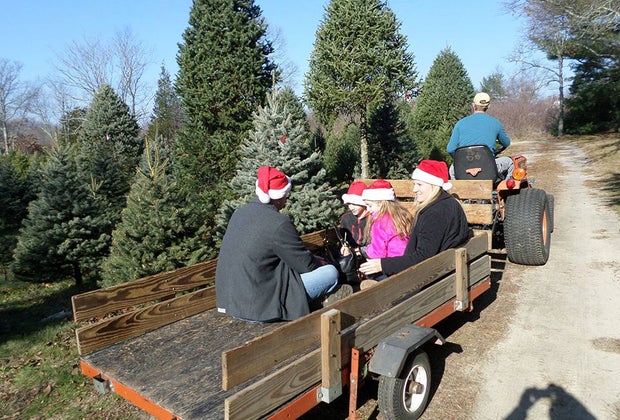 Fosters Holly Ridge Tree Farm people take a ride in tractor trailer on a christmas tree farm