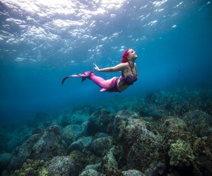Mermaids take a deep dive at the Adventure Aquarium's annual Mermaids at the Aquarium event. Photo courtesy of the aquarium.
