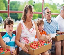 Pick some delicious, ripe strawberries at Johnson's Corner Farm in Medford this spring. Photo courtesy of the farm