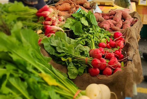 Vist the Scotch Plains Farmers Market for a family-friendly outing in Scotch Plains, New Jersey