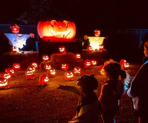 Take a stroll past more than 6,000 hand-carved Jack-O-Lanterns at the Jack O’ Lantern Experience at Skylands Stadium. Photo courtesy of the event