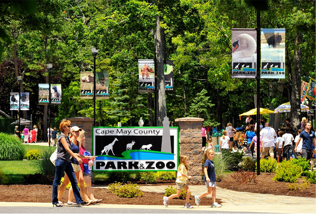 Birthday Party Places on the Jersey Shore: Cape May Zoo