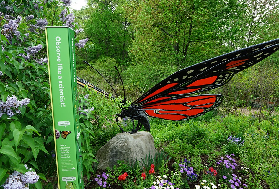 Spot butterflies—real and supersized—when you explore the newly reopened Everett Children's Adventure Garden at the New York Botanical Garden. 