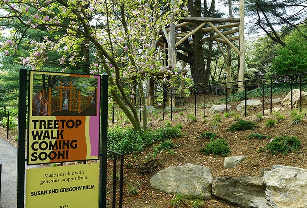 NYBG's Children's Garden Treetop Walk