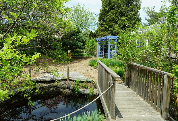 NYBG's Children's Garden