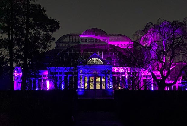 New York Botanical Garden's Enid A. Haupt Conservatory awash in colors