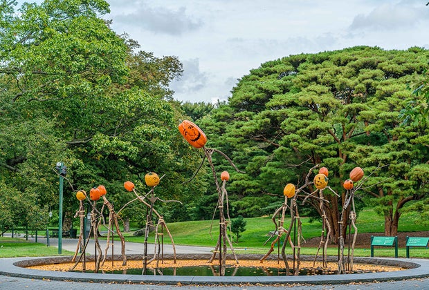 Fall activities in NYC: NYBG