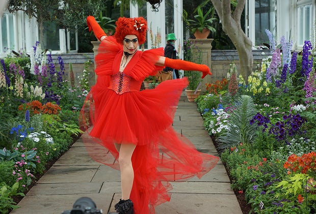  Wonderland: Curious Nature at NYBG