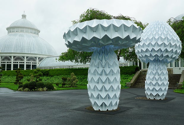  Wonderland: Curious Nature at NYBG