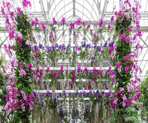 The dazzling floral creations of Jeff Leatham energize the 18th annual Orchid Show at the New York Botanical Garden. Photo courtesy of NYBG