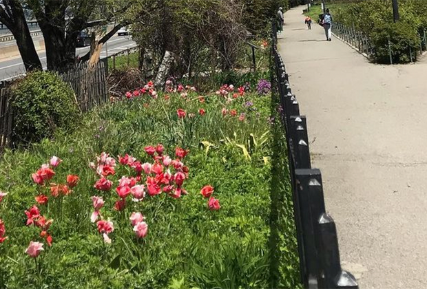 Things to do in Bay Ridge, Brooklyn with kids: Narrows Botanical Garden