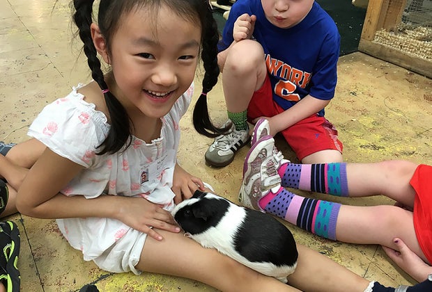 Best Manhattan Birthday Party Places for Preschoolers: Art Farm in the City